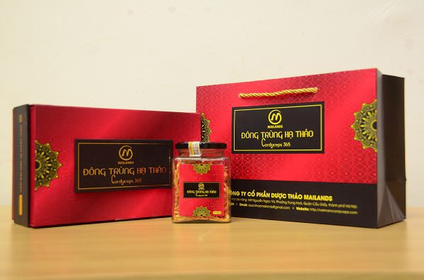 Dong-trung-ha-thao-kho-cordyceps-365
